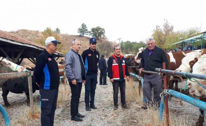 6 aydır kapalı olan Tosya Hayvan Pazarı yeniden açıldı