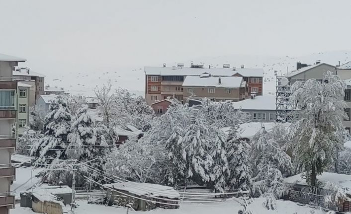 Aşkale’ye mevsimin ilk karı yağdı