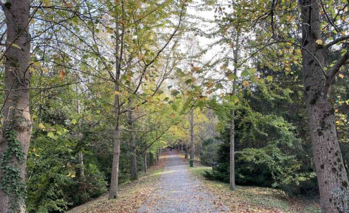 Atatürk Arboretumu’nda kartpostallık manzaralar