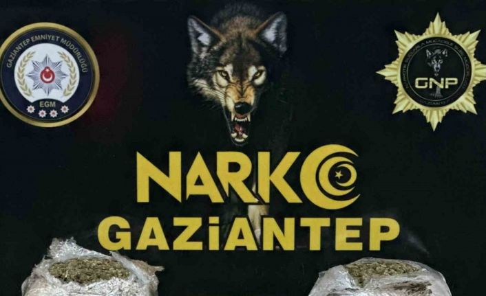 Gaziantep’te 1.5 kilogram skunk ele geçirildi