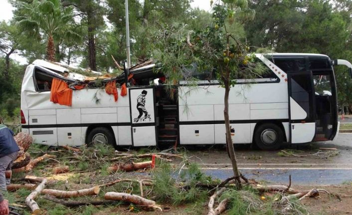 Manavgat’ta hortum asırlık çam ağaçlarını yerle bir etti