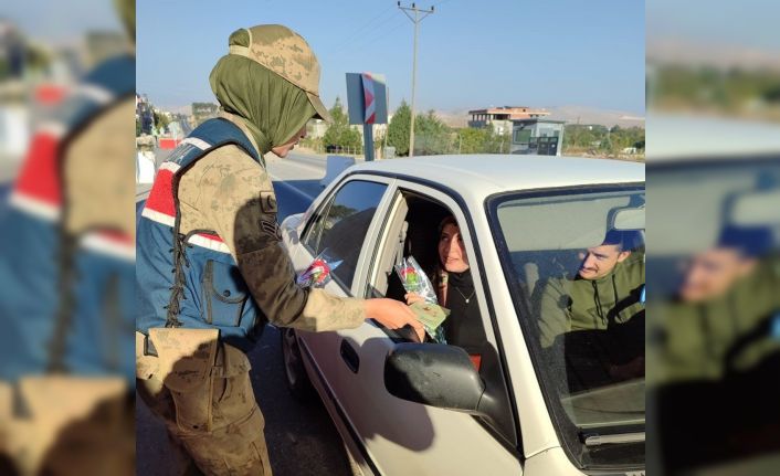 Nusaybin’de jandarma ekipleri kadınlara karanfil verdi, KADES’i tanıttı