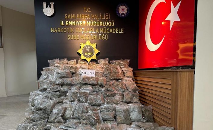 Şanlıurfa’da 90 kilogram skunk ele geçirildi: 2 gözaltı