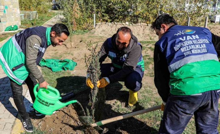 Van’daki 13 mezarlık alanına 3 bin 400 ağacın dikimine başlandı