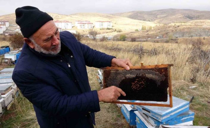 Yozgat’ta varroa hastalığı 15 bin kovana zarar verdi