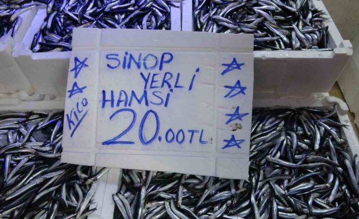 Balıkçı tezgahlarında hamsi bolluğu: Fiyatı 20 TL