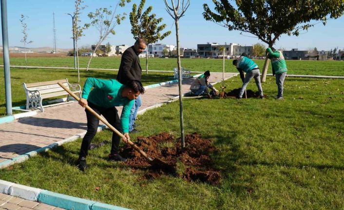 Başkan Canpolat ile Haliliye Belediyesi üretime devam ediyor