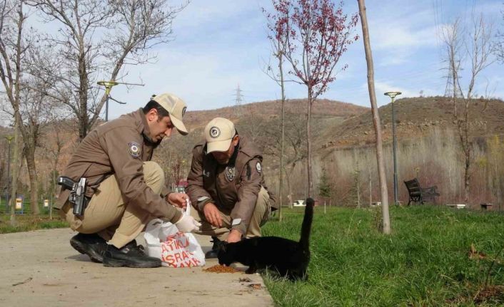 Bingöl’de HAYDİ ekipleri can dostları unutmuyor