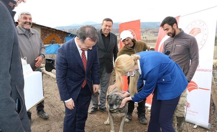 Bu hastalık köpeklerden insanlara bulaşıyor