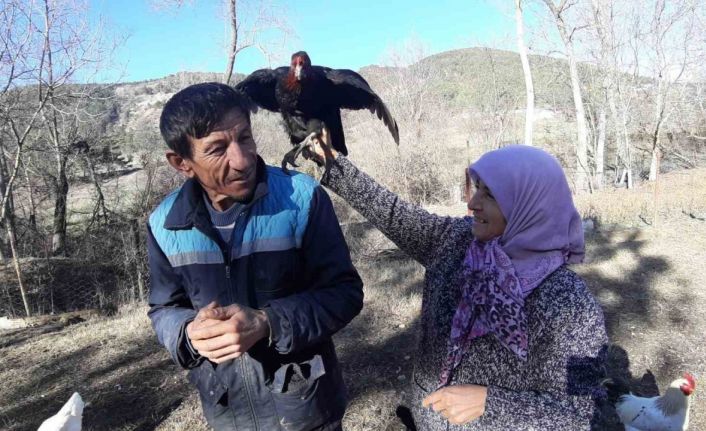 Hobi olarak başlamışlardı, artık gelirlerini o meslekten sağlıyorlar