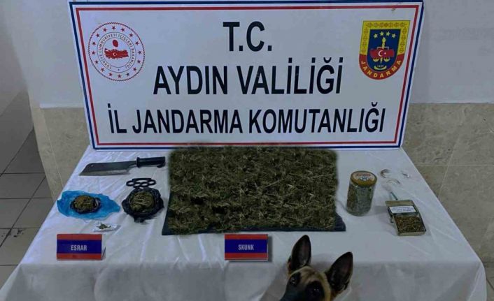 Jandarmadan uyuşturucu operasyonu: 65 gözaltı