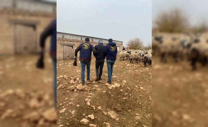 Mardin’de 2 aydır aranan cezaevi firarisi yakalandı