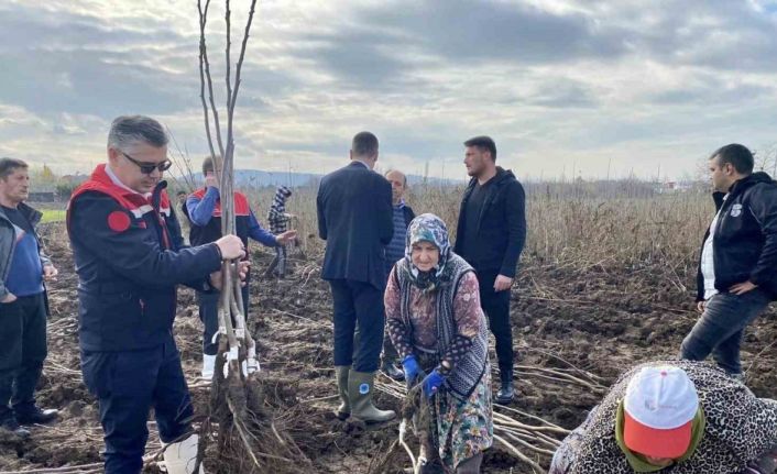 Meyve Fidanı Üretimi Ülke Ekonomisine Büyük Katkı Sağlıyor