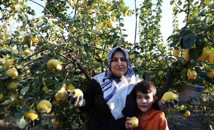 Rusya’nın ayvası Kahramanmaraş’tan