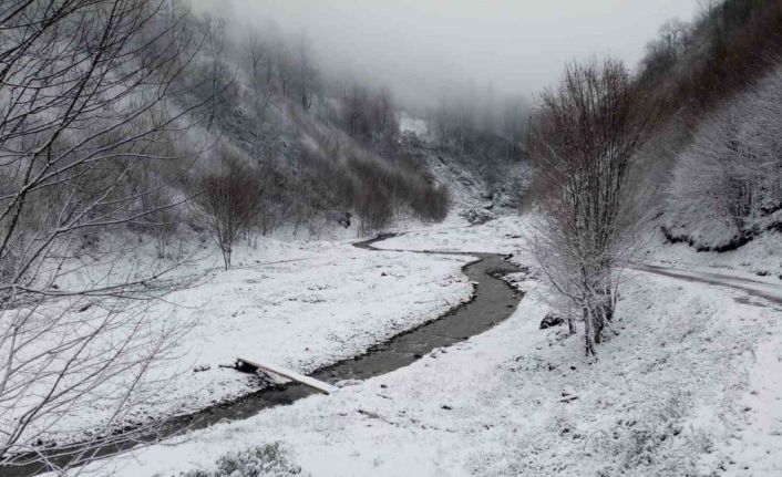 Sakarya’nın yüksek kesimleri beyaza büründü