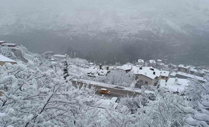 Artvin’de yoğun kar yağışı hayatı olumsuz etkiliyor