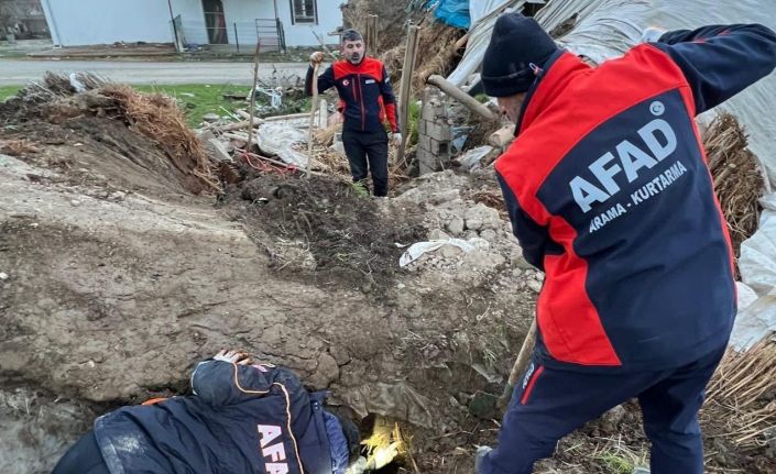 Batman’da ahır çöktü: 8 yavru köpekten 5’i kurtarıldı