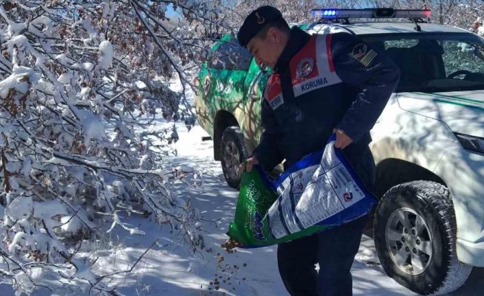 Jandarma ekipleri yaban hayvanları için yem bıraktı