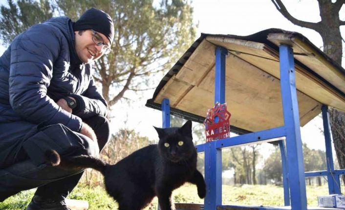 Karesi’de sokak hayvanları kış aylarında yalnız değil