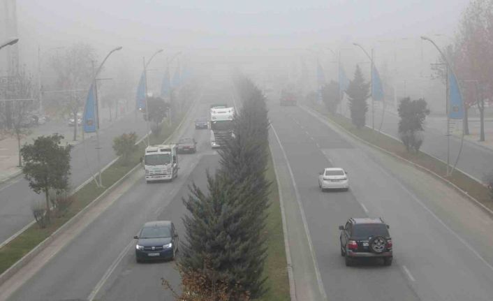 Malatya’da yoğun sis