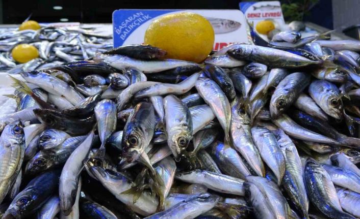 Olumsuz hava şartları sonrası avlanma azaldı, balık fiyatları 2’ye katladı