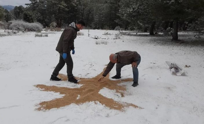 Yaban hayatı unutulmadı