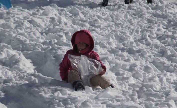 2000 rakımlı Çambaşı Yaylası’nda renkli festival