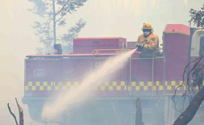 Avusturalya’da yangın: 16 bin hektarlık alan küle döndü