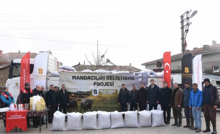 Balıkesir Büyükşehir’den manda yetiştiricilerine destek