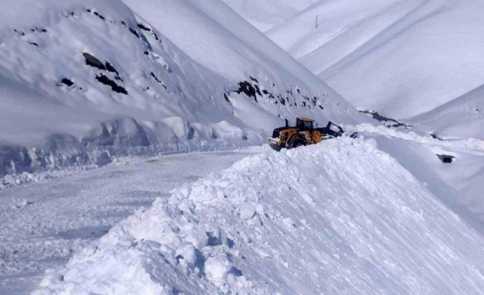 İran sırında bulunan Onbaşılar köyünün yolu kardan temizlendi