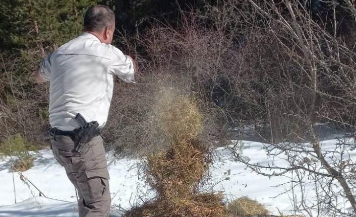 Kütahya DKMP’den yaban hayvanlarını yemleme çalışması