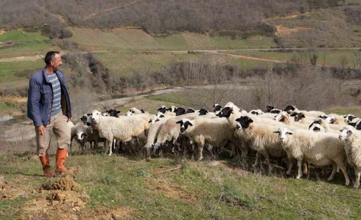 ’Sevgililer Günü’nün en anlamlı hediyesi çobandan