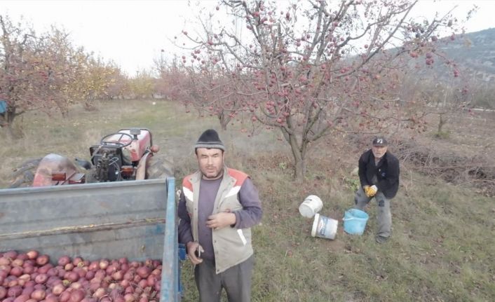 Tarlada çalışan babaya ’dron’ şakası gülme krizine soktu