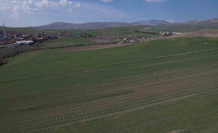 Toprağı susuz kalan çiftçi gözünü Nisan yağmurlarına dikti