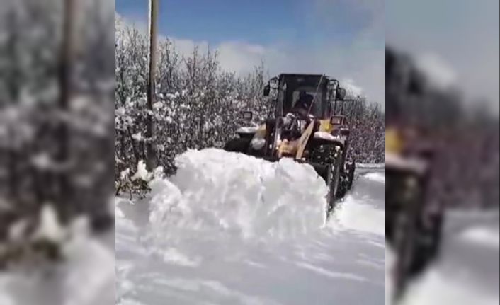 Tunceli’de kardan kapanan köy yolları ulaşıma açılıyor