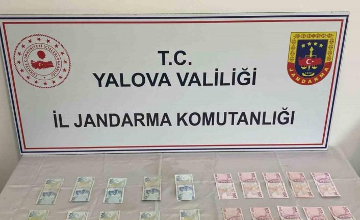 Yalova ve İstanbul’da eş zamanlı sahte para operasyonu: 2 tutuklama