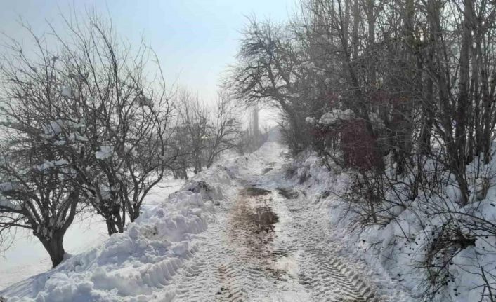 Yüksekova’da köy yollarında kar temizleme çalışmaları sürüyor