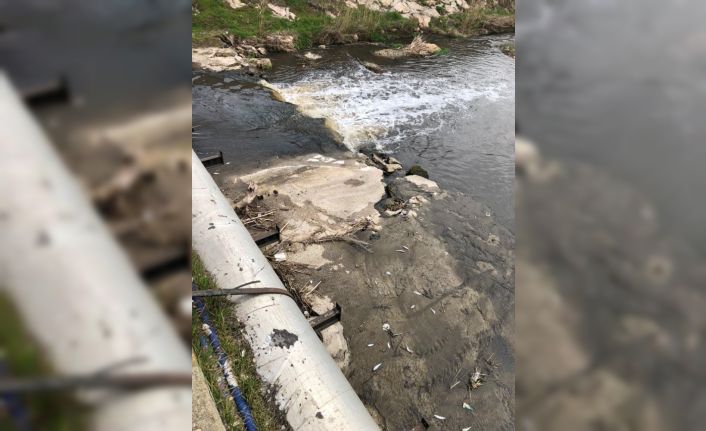 Babaeski’de derenin rengi değişti, balıklar öldü