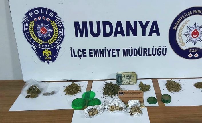 Bursa polisinden ‘sihirli mantar’ operasyonu