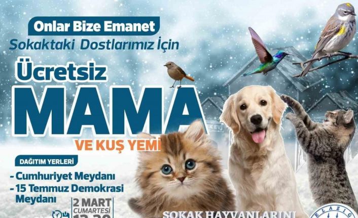 Elazığ Belediyesi ücretsiz mama ve kuş yemi dağıtacak