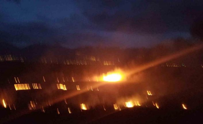 Erzincan’da örtü yangını korkuttu