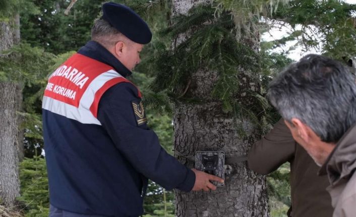 Jandarma ekipleri Dünya Yaban Hayatı Günü’nde doğaya yem bıraktı