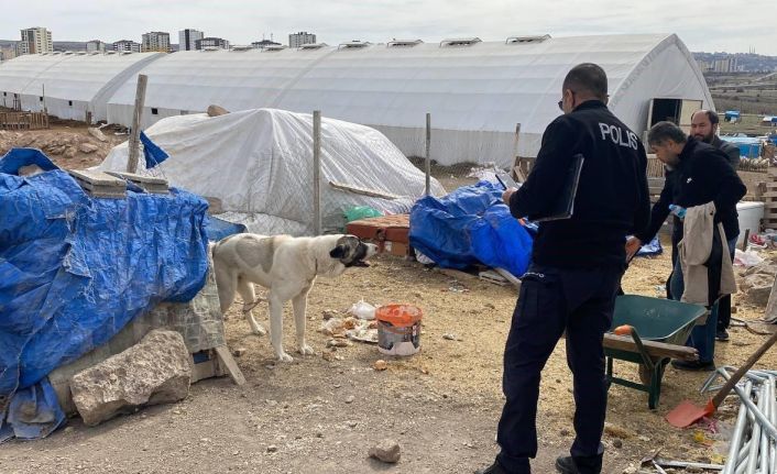 Köpeğin ısırdığı çocuk ağır yaralandı