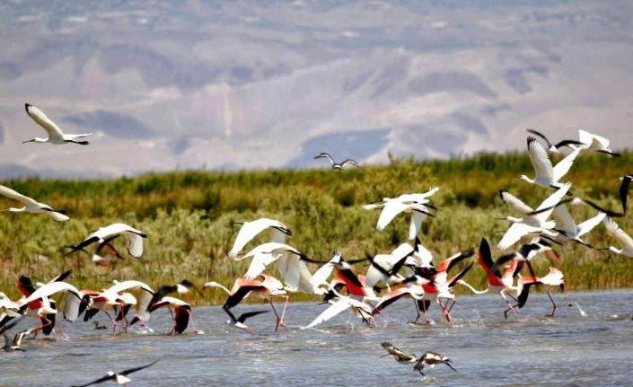 Kuş cenneti havadan görüntülendi, kendine hayran bıraktı