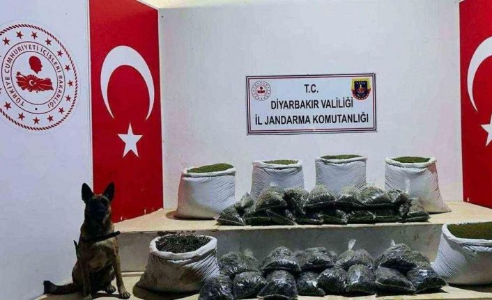 Lice’de 226 kilo esrar ele geçirildi