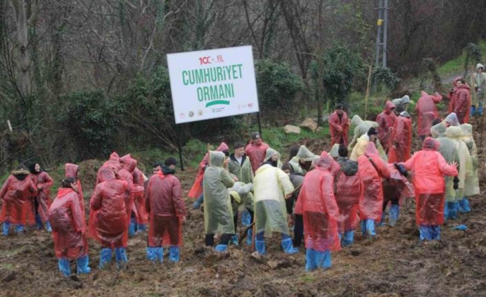 Ordu’da 5 bin fidan toprakla buluşturuldu