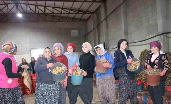 Patates işçisi kadınlar 8 Mart’ı işlerinin başında geçirdi