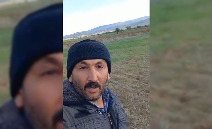 Arpa tarlasını fareler basan üretici: "Zararım çok, yanıyorum"