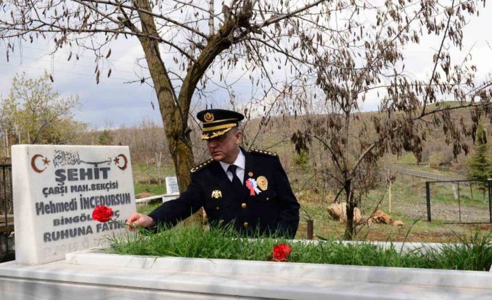 Bingöl’de emniyet mensupları, şehit kabirlerine karanfil bıraktı