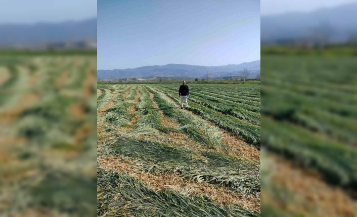 Bozdoğan’da ilçe tarım kaba yemin önemine dikkat çekti